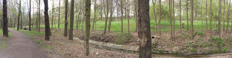 Kalwaria Panewnicka przy bazylice oo. franciszkanów - 2