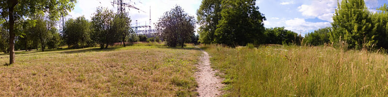 łąka koszona i niekoszona