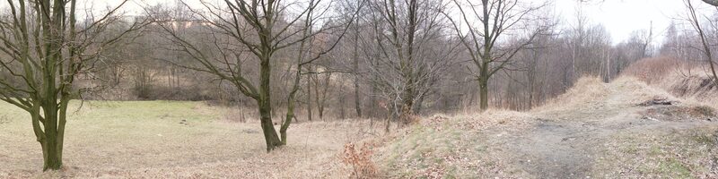 łąka w dolinie Ślepiotki